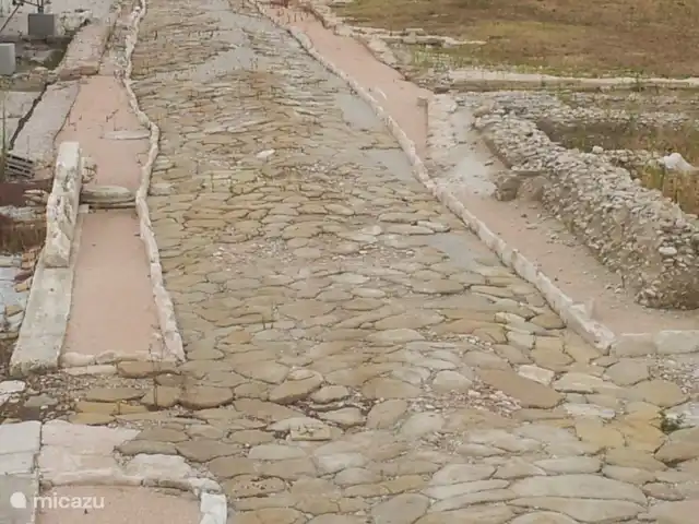 Villa San Vitale Bed & Breakfast 2p huren in Italië, Marche, San Lorenzo In Campo - bed & breakfast Juweeltjes in de buurt van Villa San Vitale: archeologisch museum in Castiglione di Suasa. Incl rondleiding