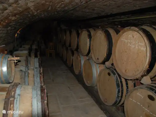 La Bergerie | France, Saône-et-Loire, La Grande-Verrière - maison de vacances Visite des caves avec dégustation des vins délicieux.