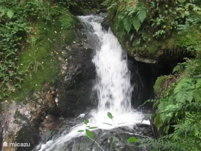 La Bergerie | France, Saône-et-Loire, La Grande-Verrière - maison de vacances Gorges de la Canche dans le Morvan
