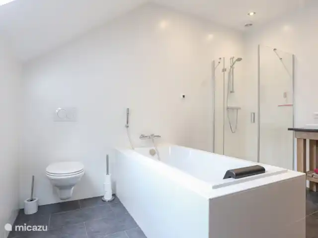 La Bergerie | France, Saône-et-Loire, La Grande-Verrière - maison de vacances Salle de bain luxueuse avec baignoire et douche, toilettes et double vasque