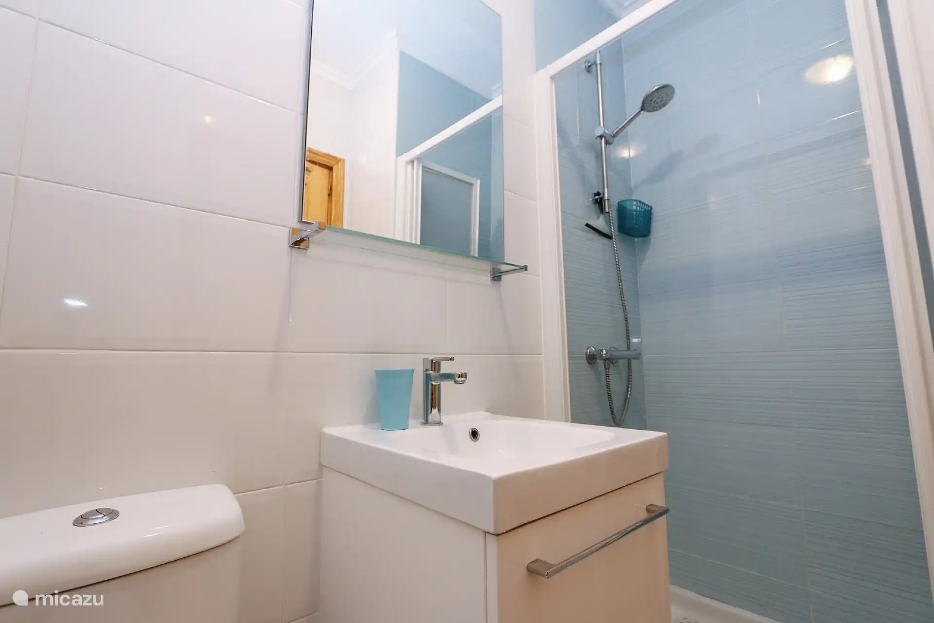 el baño tiene ducha, inodoro y lavabo