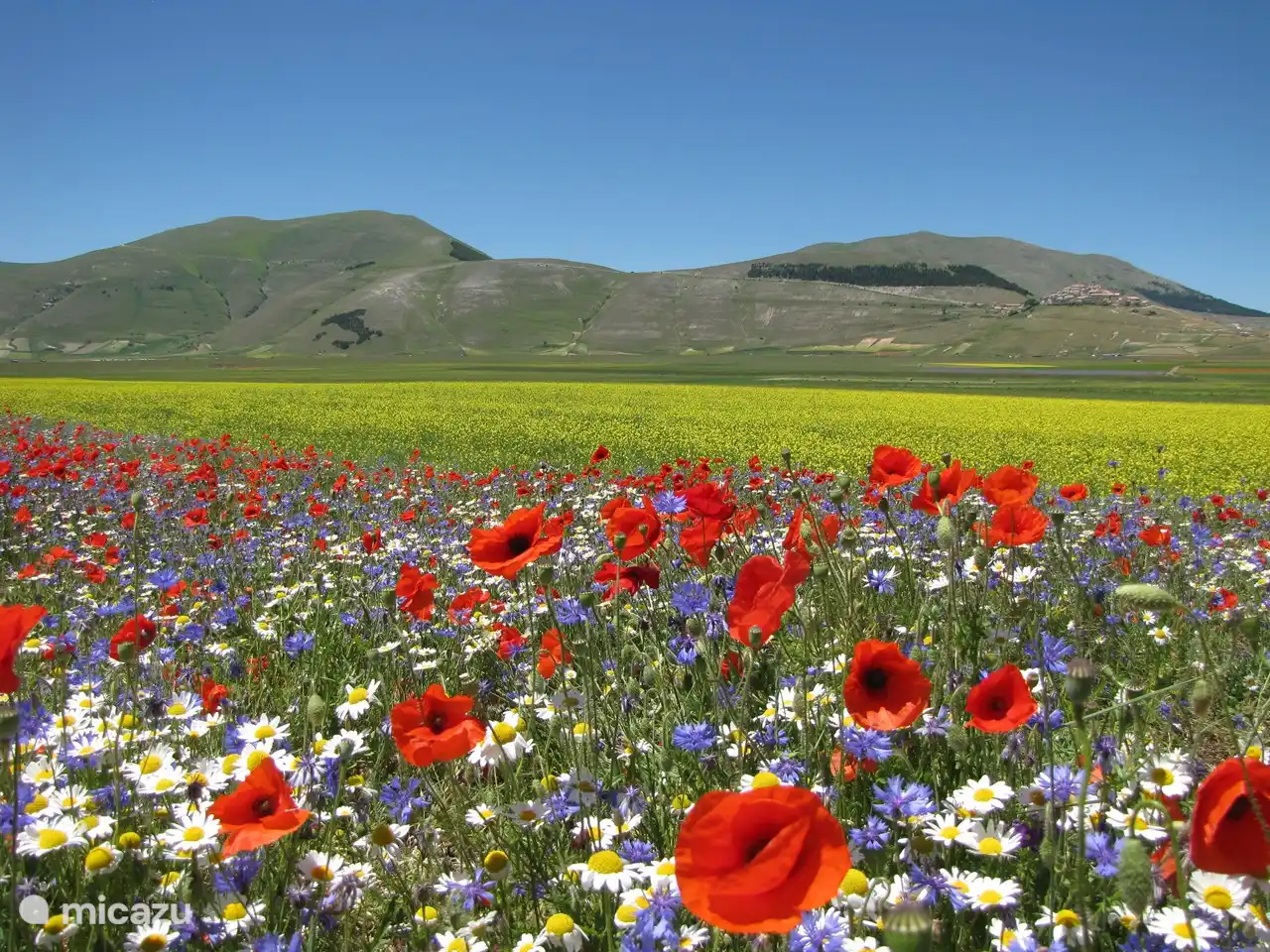 Surroundings of Casale Leporello
