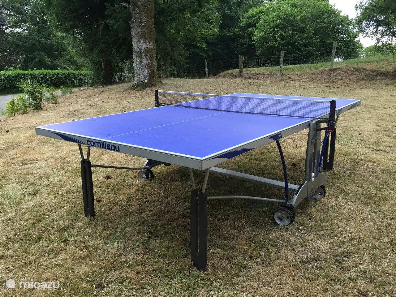 Potje tafeltennissen