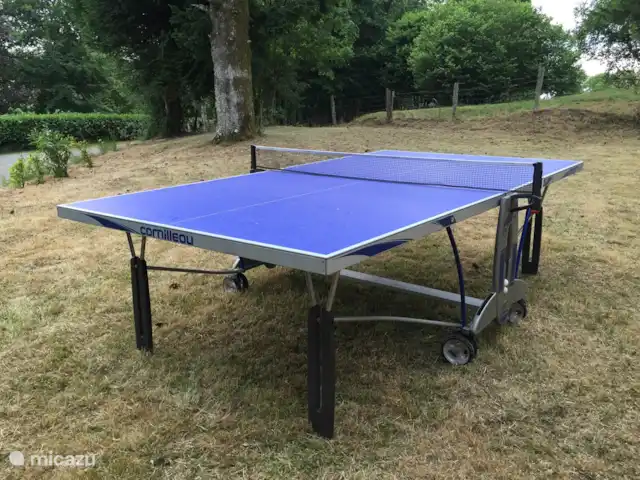 Cabaña Bersac en Francia, Alta Viena, Bersac-sur-Rivalier - casa vacacional Jugar al ping pong