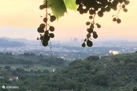 Vakantiehuis Italië, Toscane, Bagno a Ripoli villa Zonnewijzer