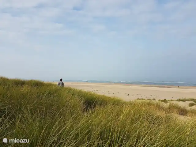 Location de Vacances Pays-Bas, Zélande, Oostkapelle, maison de vacances - Nouveau Molenwijk 2 pers. Oranjezon