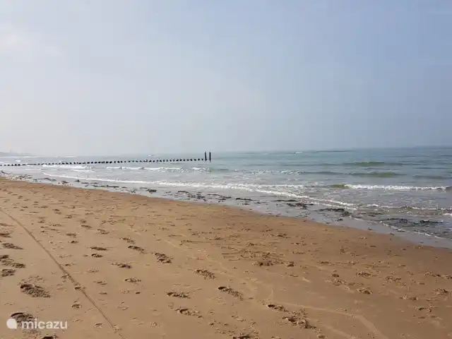 Location de Vacances Pays-Bas, Zélande, Oostkapelle, maison de vacances - Nouveau Molenwijk 2 pers. Oranjezon