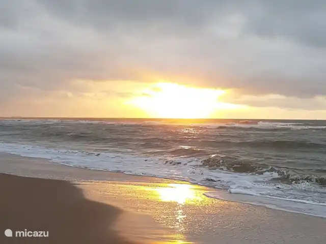 Location de Vacances Pays-Bas, Zélande, Oostkapelle, maison de vacances - Nouveau Molenwijk 2 pers. Plage d'Oostkapelle