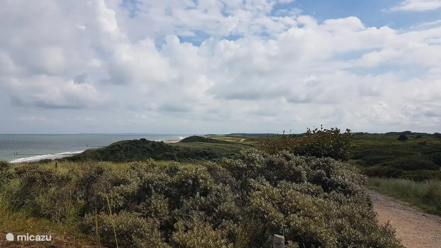 dune area