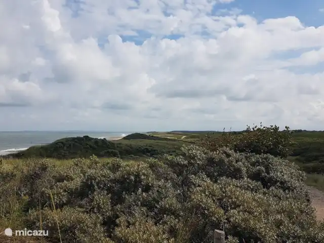 Location de Vacances Pays-Bas, Zélande, Oostkapelle, maison de vacances - Nouveau Molenwijk 2 pers. Zone de dunes