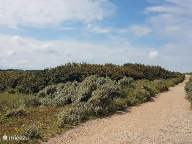 Location de Vacances Pays-Bas, Zélande, Oostkapelle, maison de vacances - Nouveau Molenwijk 2 pers. Zone de dunes