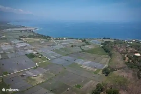 Vakantiehuis Indonesië, Bali, Lovina villa Strandvilla Ganesha direct aan zee