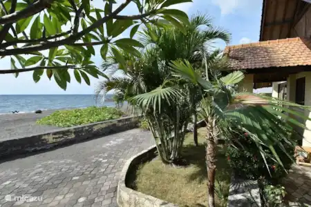 Vakantiehuis Indonesië, Bali, Lovina villa Strandvilla Ganesha direct aan zee
