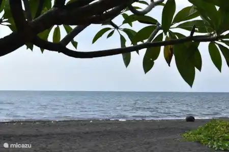Vakantiehuis Indonesië, Bali, Lovina villa Strandvilla Ganesha direct aan zee