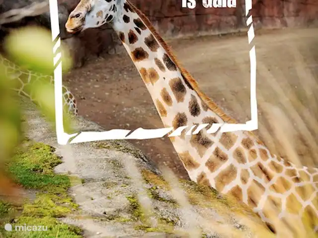 En Limburgon vacaciones Dominio Hellebeuk en Países Bajos, Limburgo, Valkenburg - casa vacacional Zoo fue elegido en 2018 como el mejor paseo de los Países Bajos