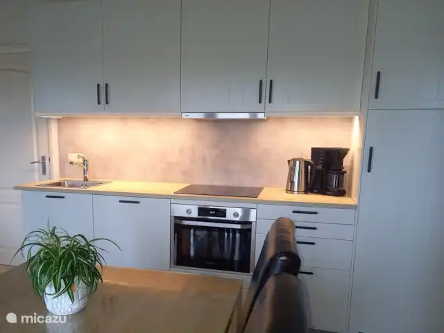 En Limburgon vacaciones Dominio Hellebeuk en Países Bajos, Limburgo, Valkenburg - casa vacacional cocina