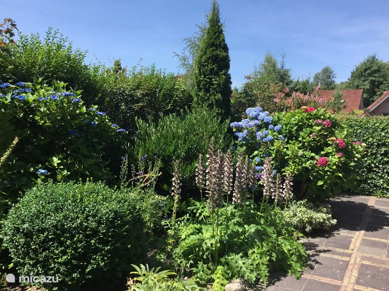 Garten an der Seite.