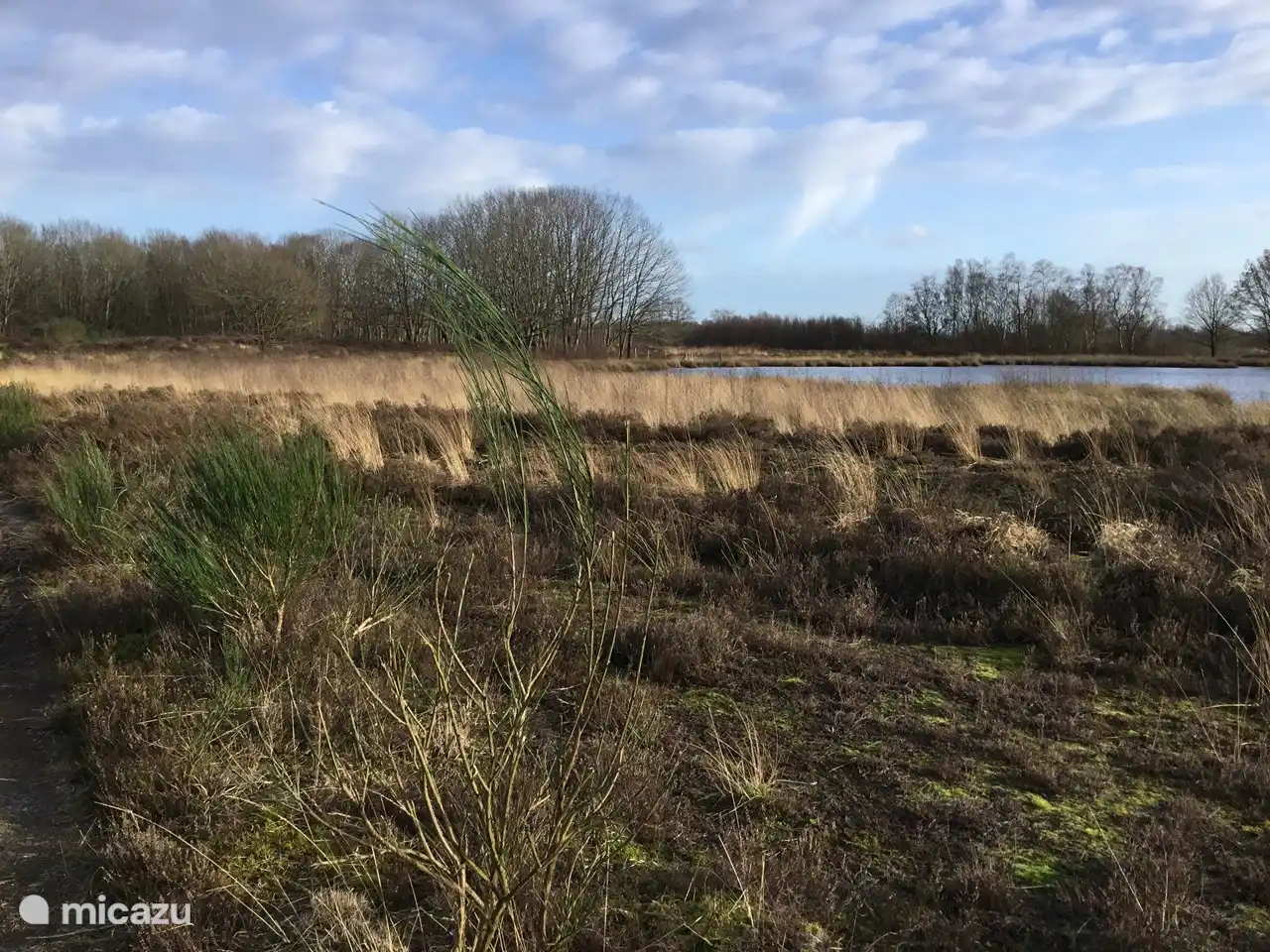 Ein Blick auf die Heide neben dem Erholungspark. Sie finden ein schönes Moor auf der Heide. Schön, hier nach einem guten Essen die Beine zu vertreten.