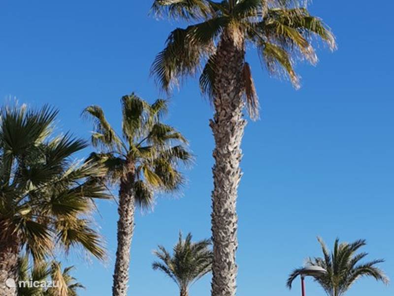 Ferienwohnung Spanien, Costa de Almería, Vera-Playa Appartement Vera Sol und Mar