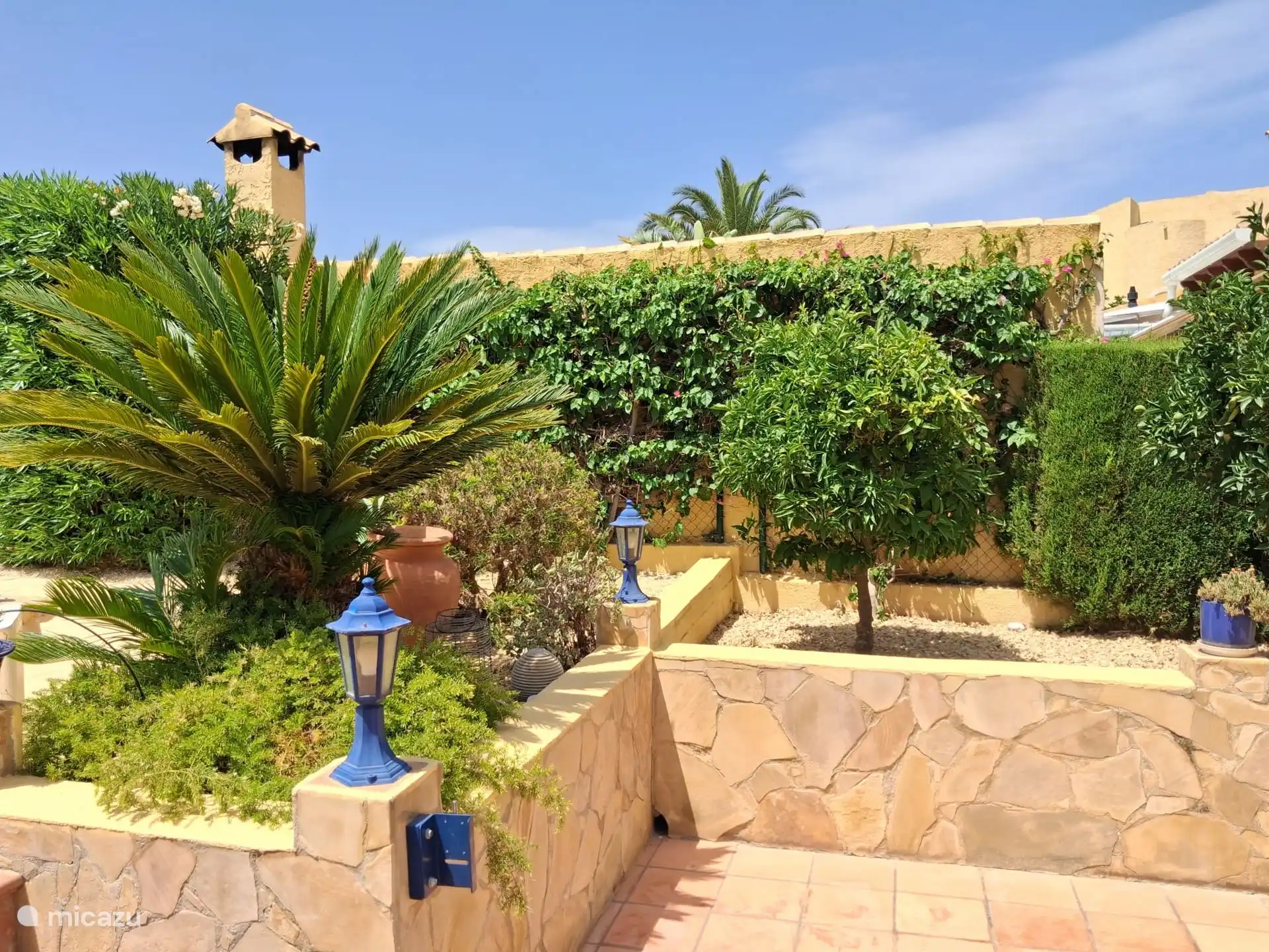 Esquina atractiva con árboles frutales, buganvillas y palmeras