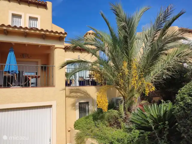 Casa Colina en España, Costa Blanca, La Nucía - casa vacacional Jardín delantero con palmera datilera