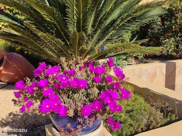 Casa Colina en España, Costa Blanca, La Nucía - casa vacacional