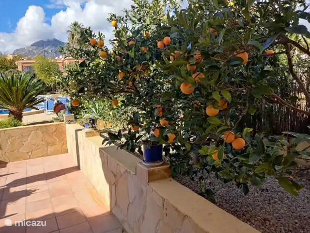 Casa Colina en España, Costa Blanca, La Nucía - casa vacacional muchas naranjas!!
