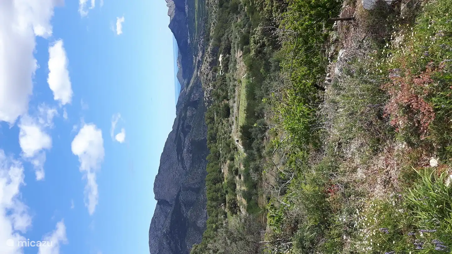 The beautiful rugged interior!