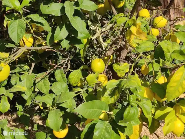 Casa Colina en España, Costa Blanca, La Nucía - casa vacacional