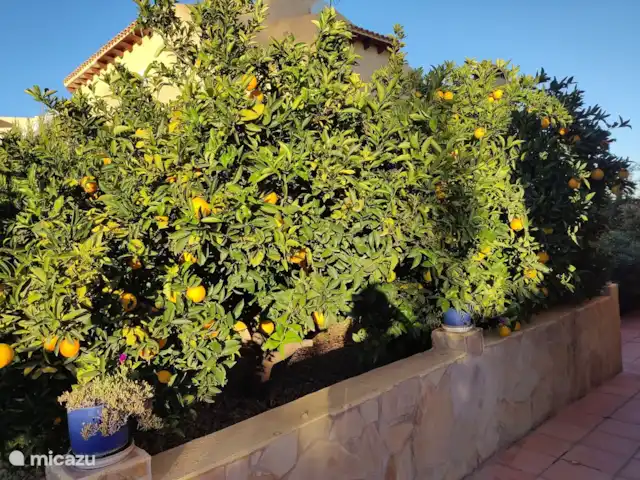 Casa Colina en España, Costa Blanca, La Nucía - casa vacacional