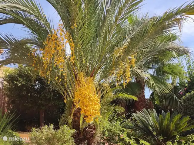 Casa Colina en España, Costa Blanca, La Nucía - casa vacacional
