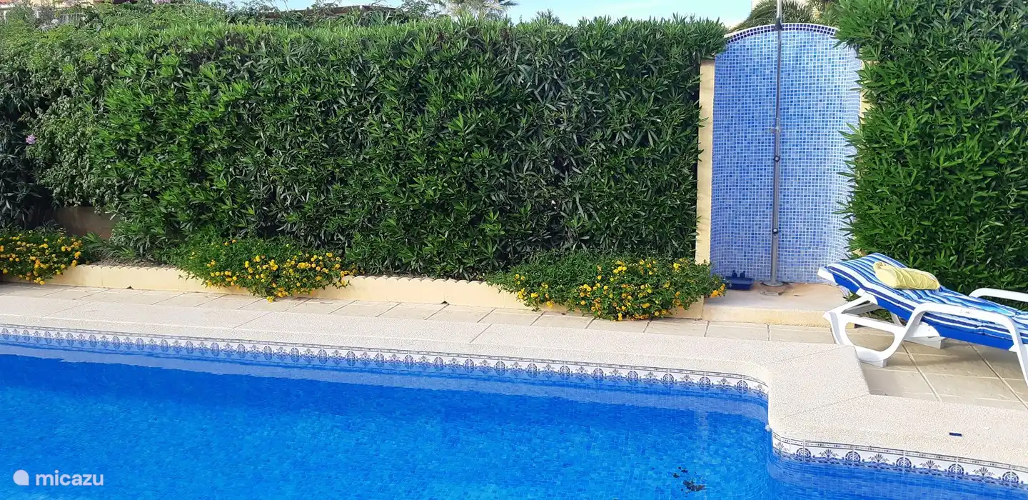 Our outdoor shower is located between the oleanders and the bougainvilleas!