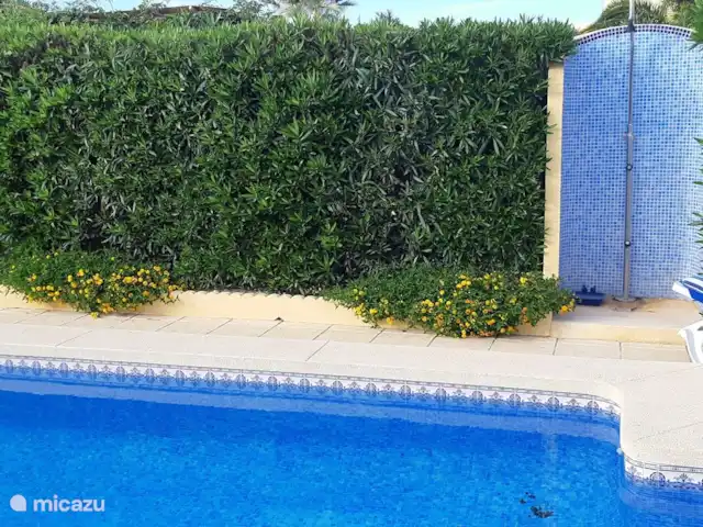 Casa Colina en España, Costa Blanca, La Nucía - casa vacacional ¡Nuestra ducha al aire libre se encuentra entre las adelfas y las buganvillas!