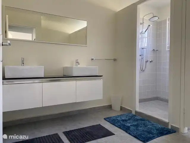 badkamer met stortdouche en twee wastafels