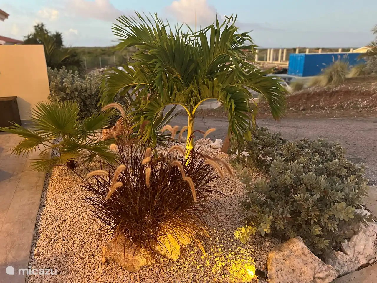 Ons tropische tuin(tje)