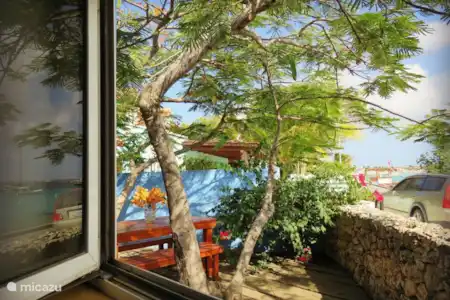 Vacation rental Bonaire, Bonaire, Kralendijk holiday house Casa Topana