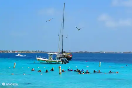 Vacation rental Bonaire, Bonaire, Kralendijk holiday house Casa Topana