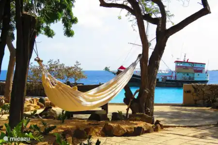 Vacation rental Bonaire, Bonaire, Kralendijk holiday house Casa Topana