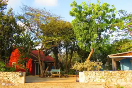 Vacation rental Bonaire, Bonaire, Kralendijk holiday house Casa Topana