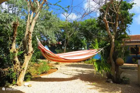 Vacation rental Bonaire, Bonaire, Kralendijk holiday house Casa Topana