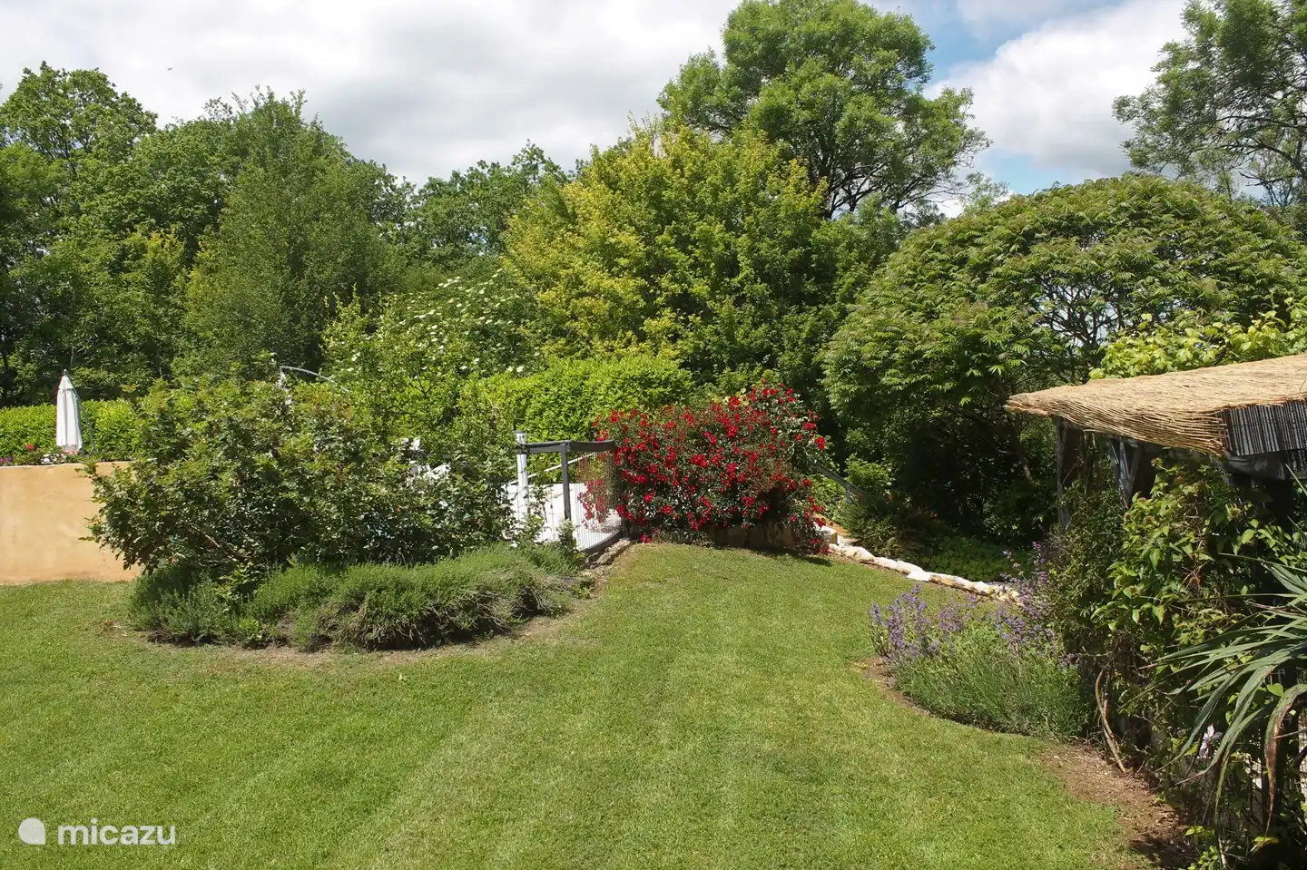 een stukje tuin, met een blik op het zwembad