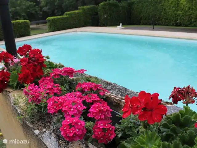 Le Calottier en Francia, Lot, Montgesty - casa rural / cabaña una piscina abandonada bajo la lluvia