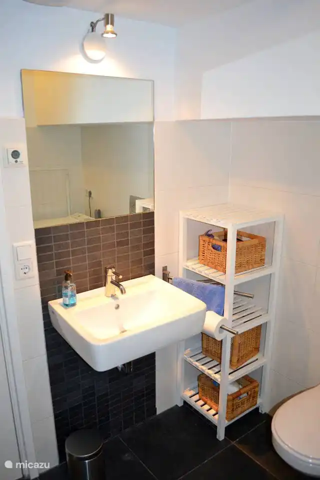 badkamer 1 met wastafel, douche, toilet en bad