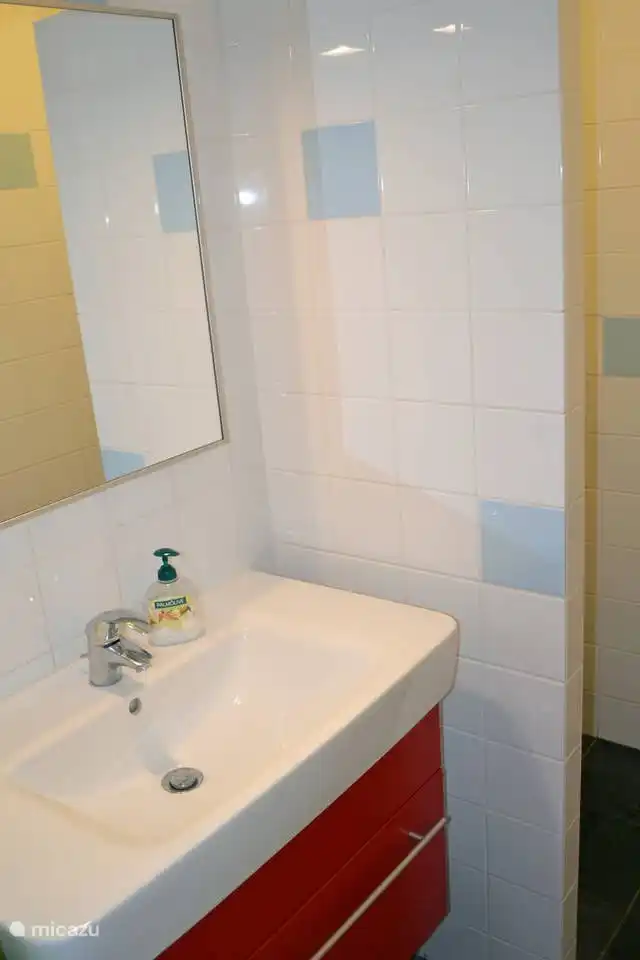 badkamer 2 met wastafel en douche