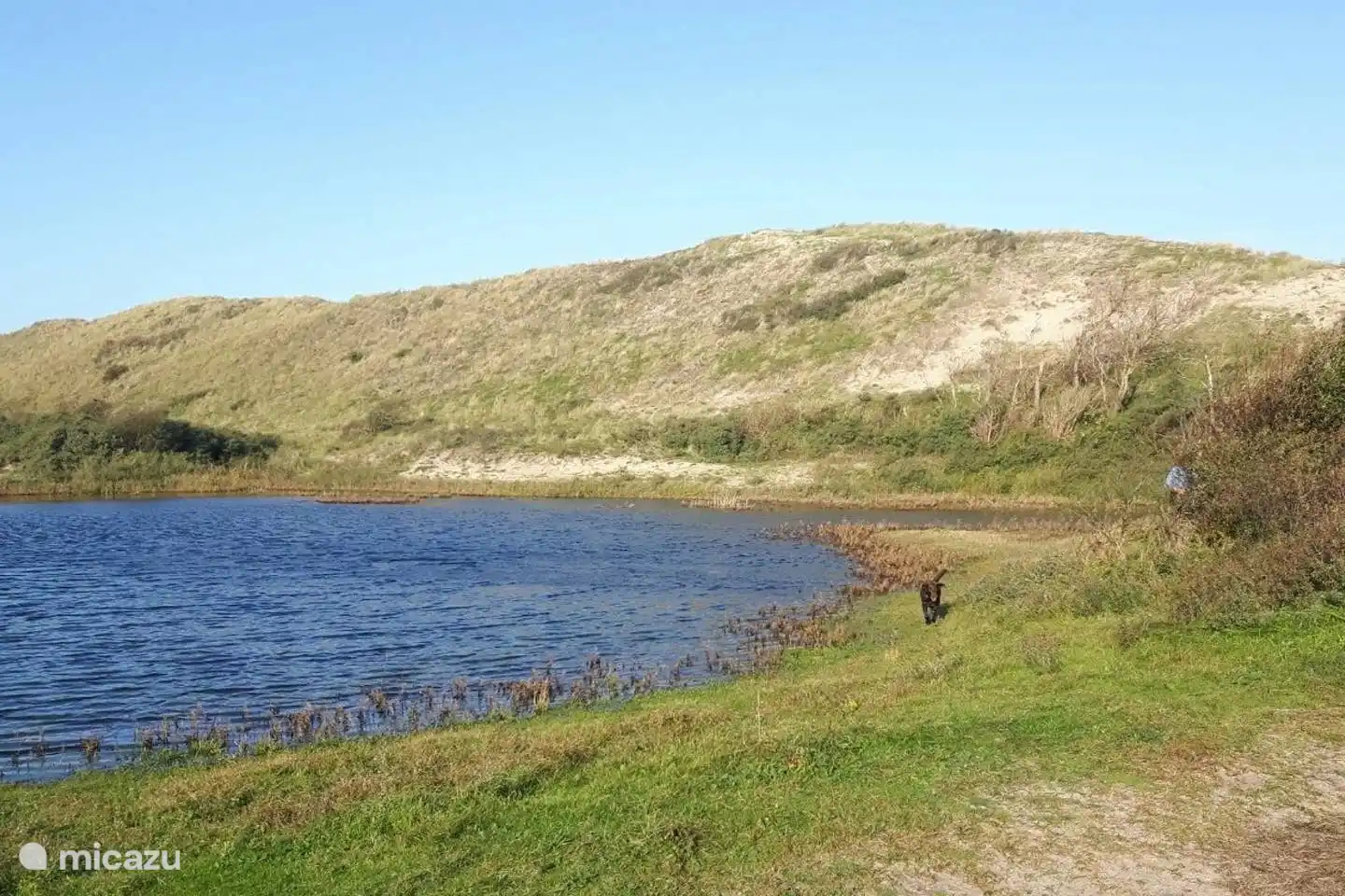 duinen