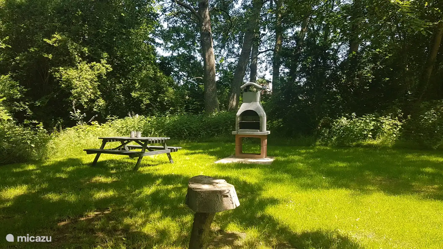 zona de picnic con barbacoa