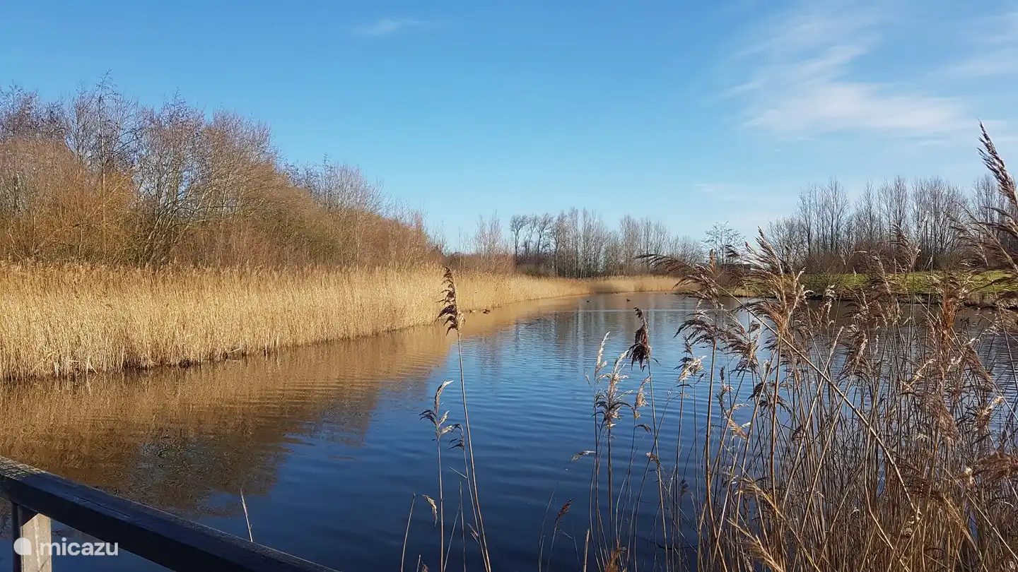 Estate Buiten Pekín