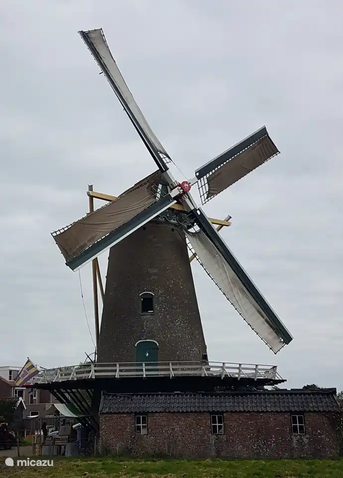 Molino harinero de Oostkapelle