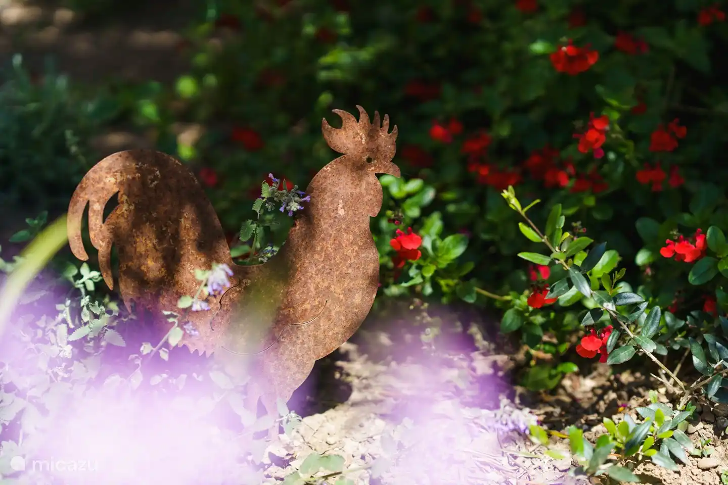 Se reposer... Spacieux... et la nature