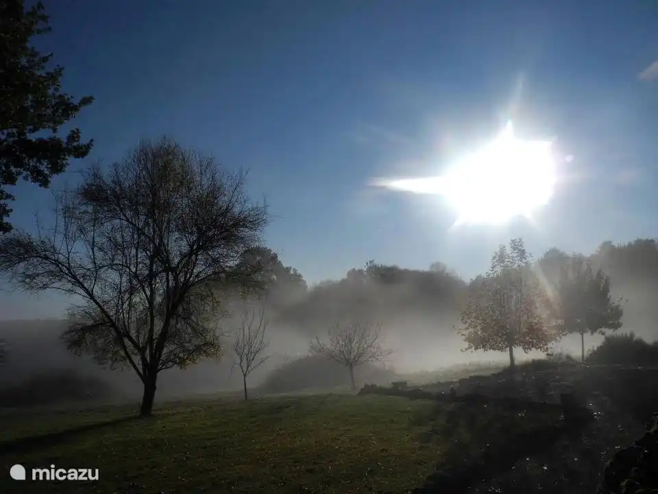Morgennebel auf der Lagrenie
